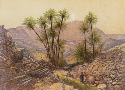 Sinai-ørkenen (fargelitografi) av English School