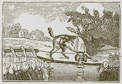 Hunden og skyggen (gravering) av English School