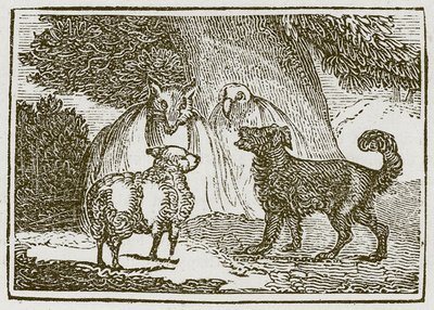 Hunden og sauen (gravering) av English School