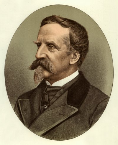Hertugen D