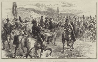 Hertugen av Edinburgh i Dublin, anmeldelse i Phoenix Park (gravering) av English School