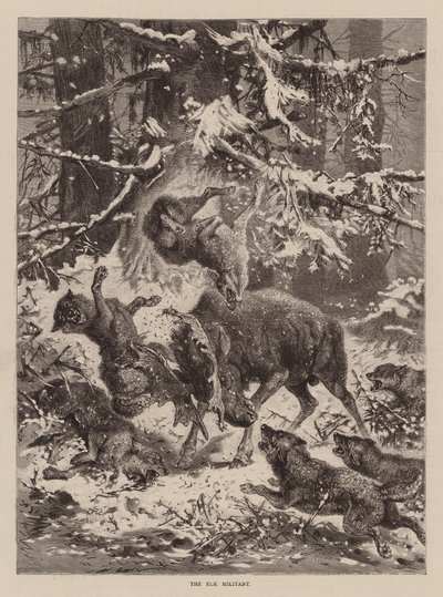 Der kämpferische Elch von English School