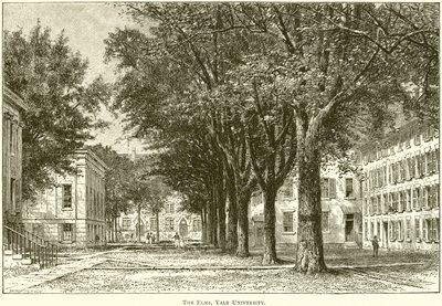 The Elms, Yale University av English School