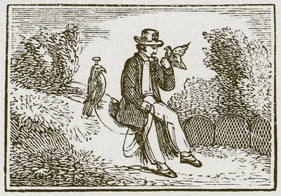 Falconer og rapphønsen (gravering) av English School