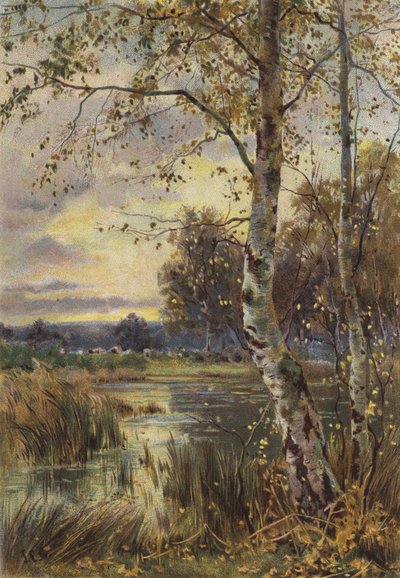 The Falling Leaf (chromolitho) av English School