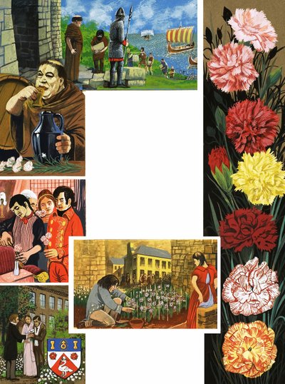 Blomstene som blomstrer: Lyse nelliker av English School