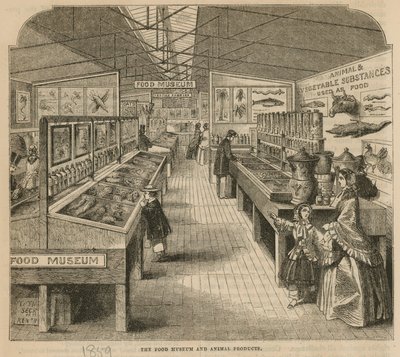 Matmuseet og dyreprodukter, South Kensington Museum av English School