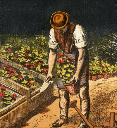 Gartneren, 1867 av English School