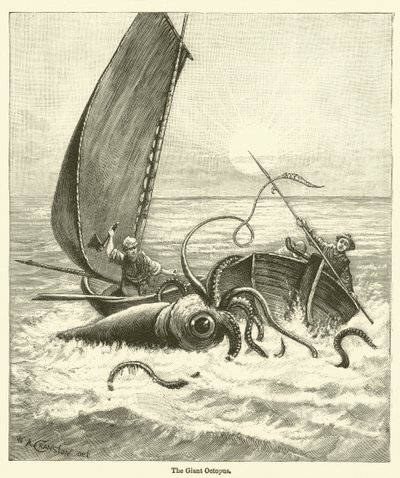 The Giant Octopus (gravering) av English School