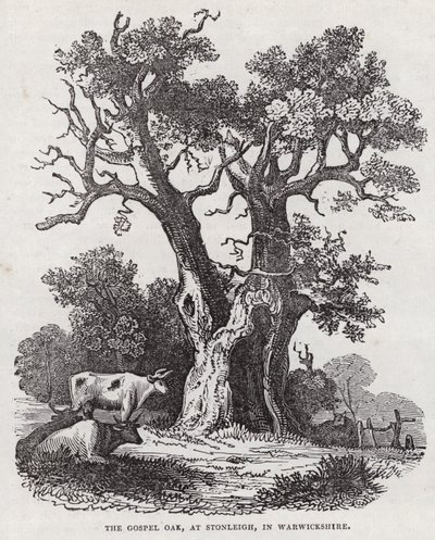 The Gospel Oak, Stonleigh, Warwickshire (gravering) av English School