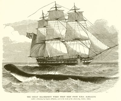 Die große Seeschlange, als sie zum ersten Mal von der H.M.S. Daedalus gesehen wurde von English School