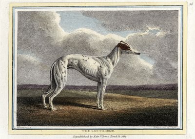 The Greyhound, pub. 1812 (håndfarget gravering) av English School
