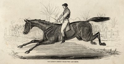 The Harrow Steeple Chase: The Last Brook, fra 