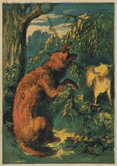 The House of Furze (farge litho) av English School