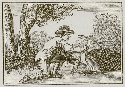 Bonden og storken (gravering) av English School
