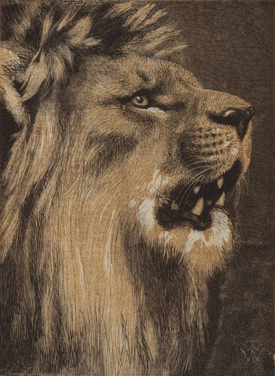 The King of the Forest (farget gravering) av English School