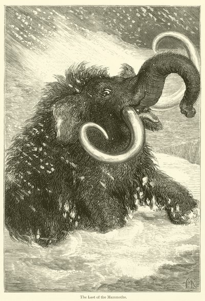 The Last of the Mammoths (gravering) av English School