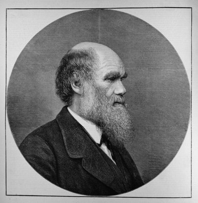 The Late Mr C. R. Darwin, FRS, LLD, fra The Illustrated London News, 29. april 1882 av English School