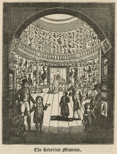 Leverian-museet av English School