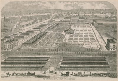 Metropolitan Cattle Market, Copenhagen Fields, London av English School