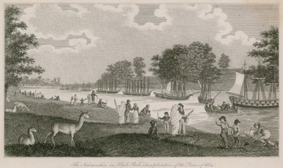 Naumachia i Hyde Park for å feire freden i 1814 av English School