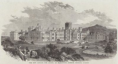 The New Asylum for Idiots, ved Earlswood Common, Redhill, Surrey (gravering) av English School