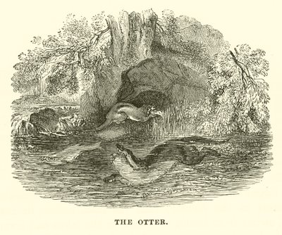Oteren (gravering) av English School