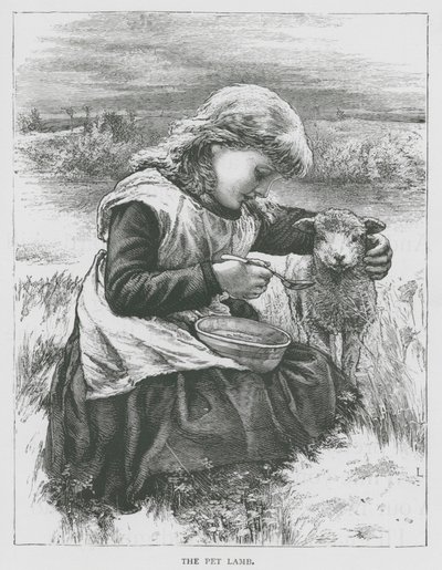Kjæledyrlammet (gravering) av English School