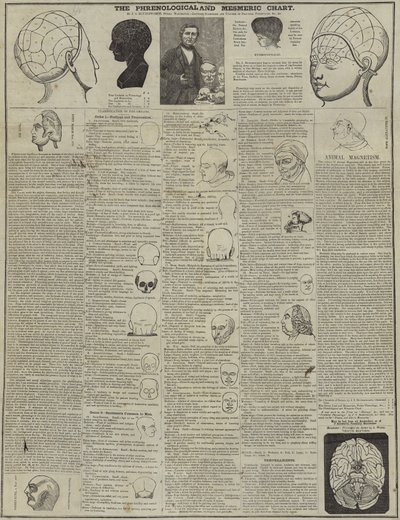 Det frenologiske og mesmeriske diagrammet av English School