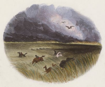 The Prairie on Fire (farget gravering) av English School