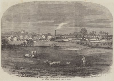 Das Modellgut des Prinzgemahls in Osborne (Gravur) von English School