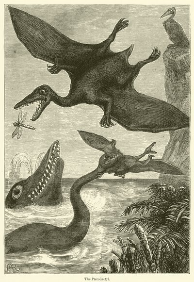 Pterodactylen (gravering) av English School