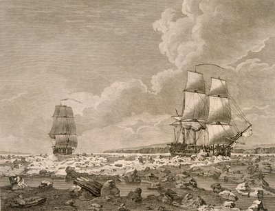 Veddeløpshest og kadaver tvinger gjennom isen, 10. august 1773, fra A Voyage Towards the North Pole Undertake by His Majestys Command 1773, publisert London 1774 av English School