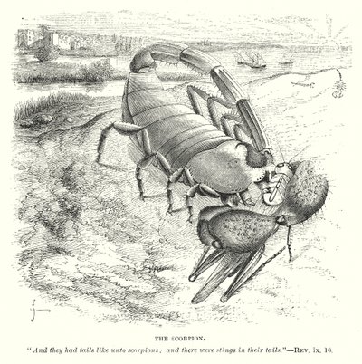 Skorpionen (gravering) av English School