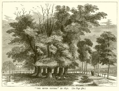 De syv søstre i 1830 av English School