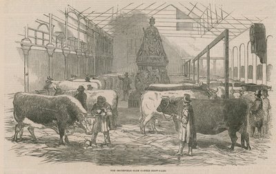 Smithfield Club Cattle Show Yard av English School