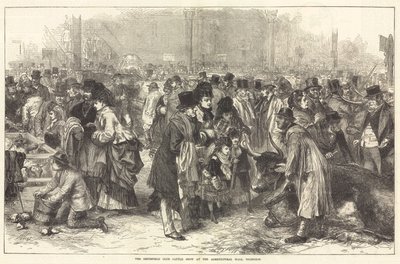 Smithfield Club Cattle Show i Agricultural Hall, Islington av English School