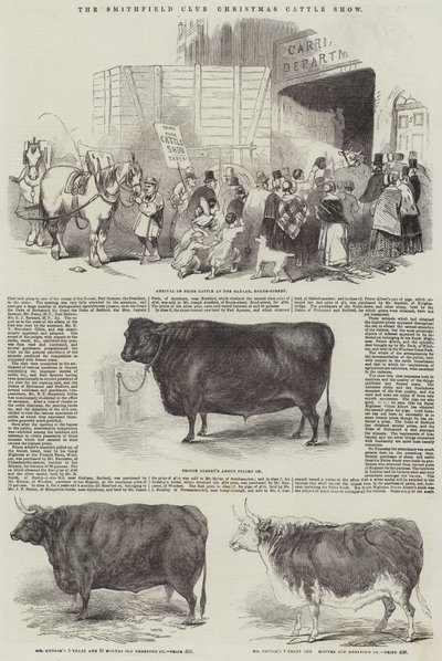 The Smithfield Club Christmas Cattle Show (gravering) av English School