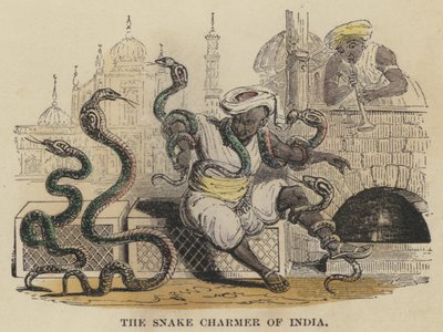 The Snake Charmer of India (farget gravering) av English School