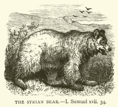 Den syriske bjørnen, I, Samuel, xvii, 34 (gravering) av English School