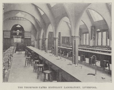 Thompson-Yates Histology Laboratory, Liverpool (gravering) av English School