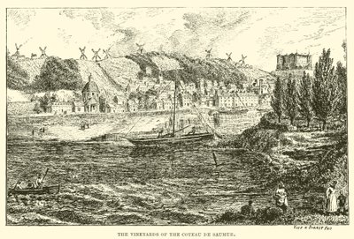 Vingårdene til Coteau de Saumur (gravering) av English School