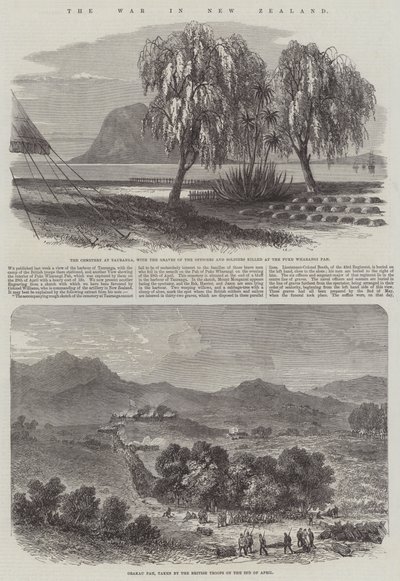 The War in New Zealand (gravering) av English School