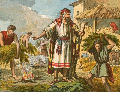 Hveten og ugresset av English School