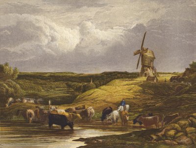 Vindmøllen av English School