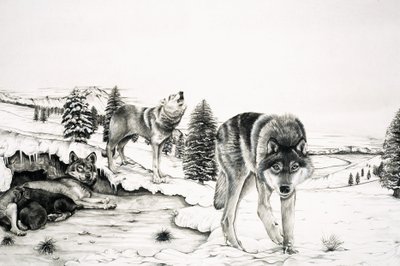 The World of Nature: 