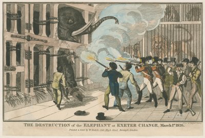 Ødeleggelsen av elefanten ved Exeter Change, 1. mars 1826 av English School