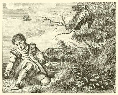 Duen og mauren (gravering) av English School