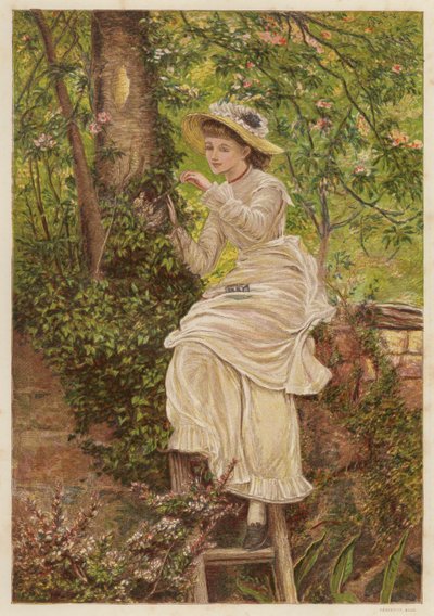 Fostermoren: ung kvinne som mater foreldreløse fugleunger i et reir (farge litho) av English School
