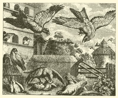 Dragen og duene (gravering) av English School